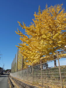 玉城わかば学園