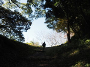 田丸城址 搦手道