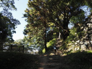 田丸城址 搦手道