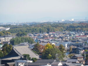 田丸城址から玄徳寺方向の遠望