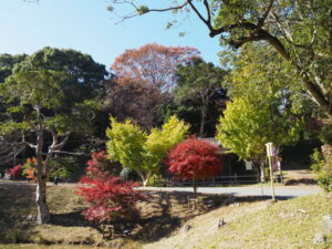 田丸城 富士見門付近