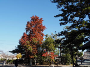 北御門口（外宮）