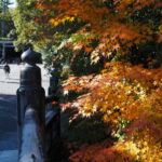 表参道火除橋にて（外宮）