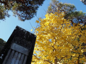 岡本一丁目交差点付近