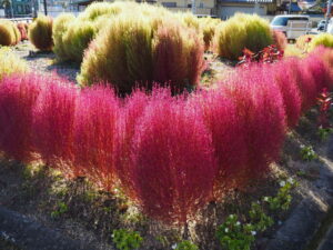 岡本一丁目交差点付近