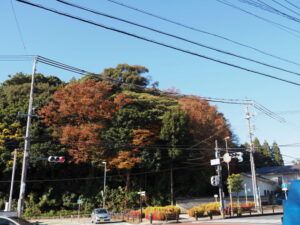 岡本一丁目交差点付近