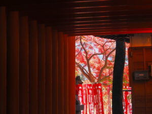 吉王稲荷神社の参道にて（伊勢市船江）