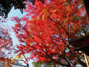 船江上社（伊勢市船江）