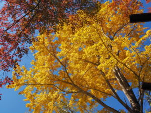 船江上社（伊勢市船江）