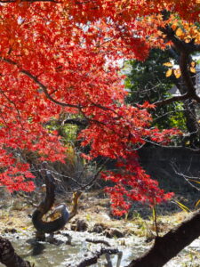 船江上社（伊勢市船江）