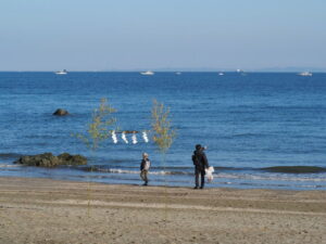 二見興玉神社の禊浜