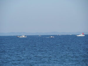 二見浦に浮かぶ多数の漁船