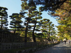 夫婦岩表参道(賓日館前)