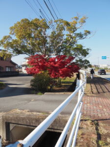 国道42号(伊勢市二見町溝口)