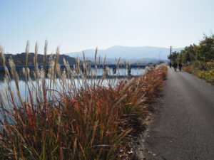 五十鈴川の左岸堤防(汐合大橋〜汐合橋)
