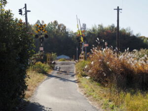 JR参宮線 通り前踏切