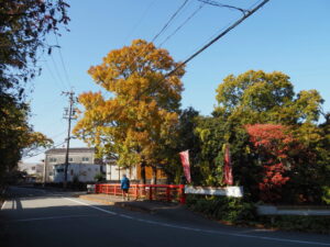 松尾橋にて(伊勢市楠部町)