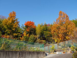 楠部向陽台団地公園付近