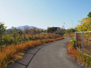 伊勢自動車道 伊勢IC内の歩道