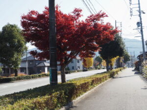 御幸道路(五十鈴川駅北交差点付近)