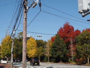 御幸道路（伊勢総合病院裏交差点付近）