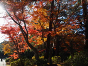 神宮美術館付近