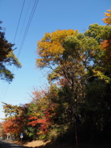 神宮徴古館ほかの駐車場付近