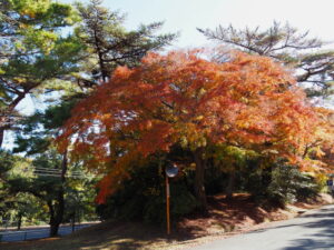 神宮徴古館ほかの駐車場付近