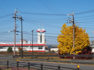 御幸道路 神田久志本町1交差点付近