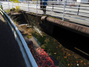 八間道路脇、船江上社の朧が池から続く水路（伊勢市船江）