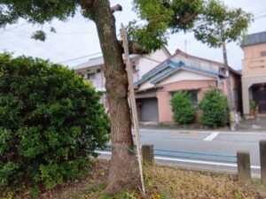 的場公園から望む直書き塗広告が残る電柱(伊勢市船江)