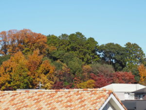 垂水井戸谷公園付近にて