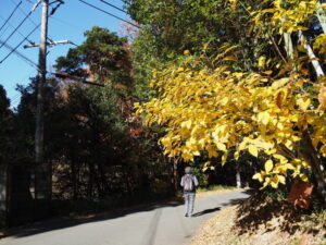 石水博物館付近（津市垂水）