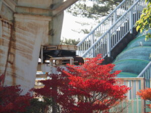 鳥羽ポンプ場にて