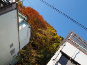 鳥羽市鳥羽にて