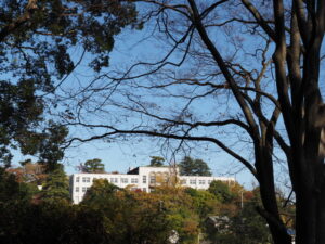 金胎寺前から望む旧鳥羽小学校