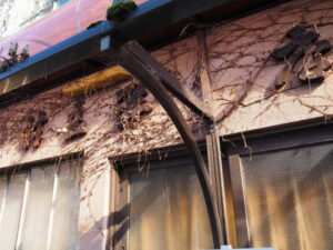 鳥羽市鳥羽にて