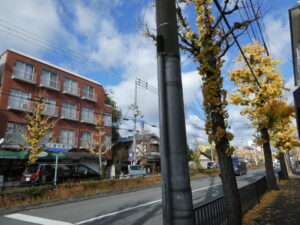 下鴨本通（鞍馬口通との交差点付近）