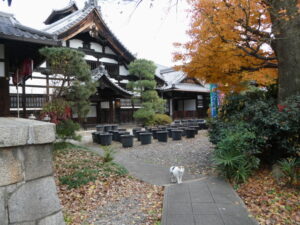 革堂 行願寺にて