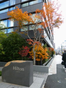 ヒルトン京都