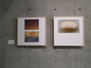 ギャラリー・マロニエにて