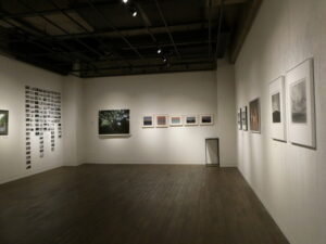 ギャラリー・マロニエにて