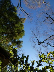 光悦寺庭園にて