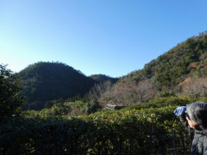 光悦寺庭園にて