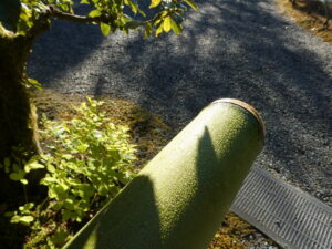 光悦寺庭園にて