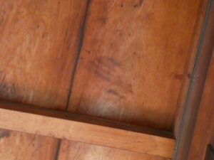 血天井(源光庵)