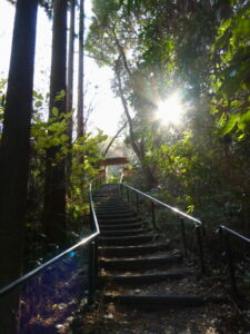 白馬池からの門(常照寺)