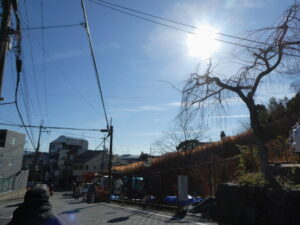 大宮御土居(玄琢道にて)