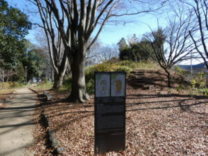 大宮西野山児童公園に残る御土居