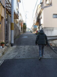 土塁法面が補強される工事現場から続く御土居部分